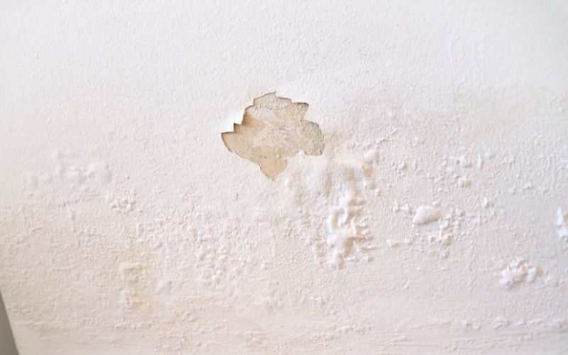 repair water damaged drywall