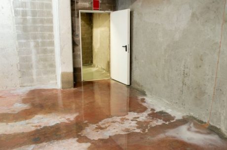 sewage damage cleanup